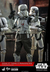 Star Wars Assault Tank Commander Rogue One 1/6 Scale Figure