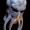 Dungeons &amp; Dragons Mind Flayer Mask by Trick or Treat Studios
