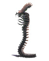 NECA - Aliens - 7&quot; Scale Action Figure - Series 13 Snake - Collectors Row Inc.