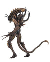 NECA - Aliens - 7&quot; Scale Action Figure - Series 13 Scorpion - Collectors Row Inc.