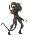 NECA - Aliens - 7&quot; Scale Action Figure - Series 13 Scorpion - Collectors Row Inc.