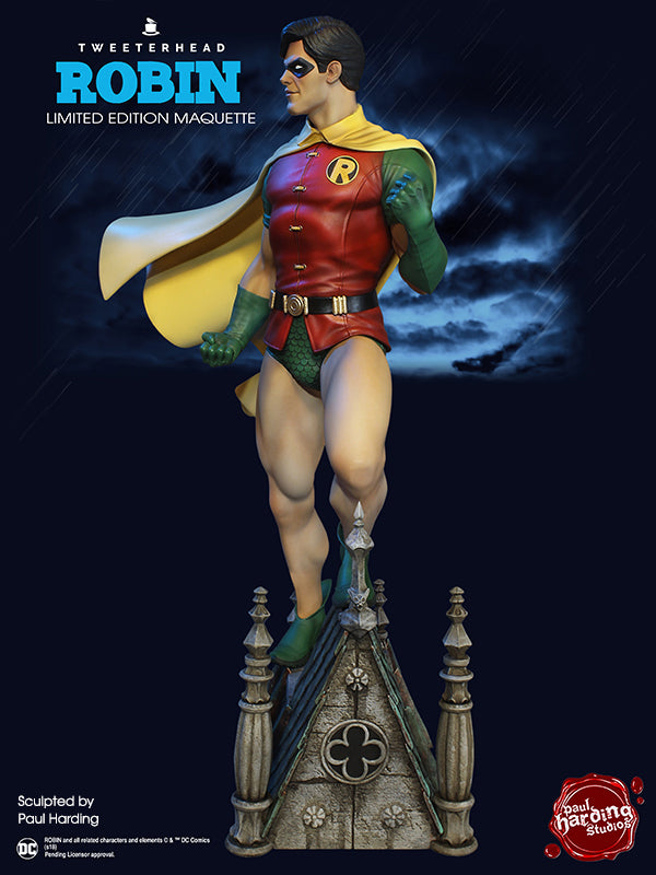 アメコミ ROBIN MAQUETTE Limited editimn DC Comics Robin Super Powers EXCLUSIVE - SPECIAL EDITION