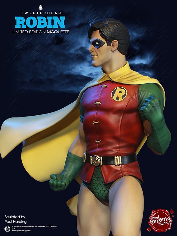 アメコミ ROBIN MAQUETTE Limited editimn DC Comics Robin Super Powers EXCLUSIVE - SPECIAL EDITION