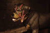 NECA - Alien 3 - Accessory Pack - Creature Pack - Collectors Row Inc.