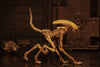 NECA - Alien 3 - Accessory Pack - Creature Pack - Collectors Row Inc.