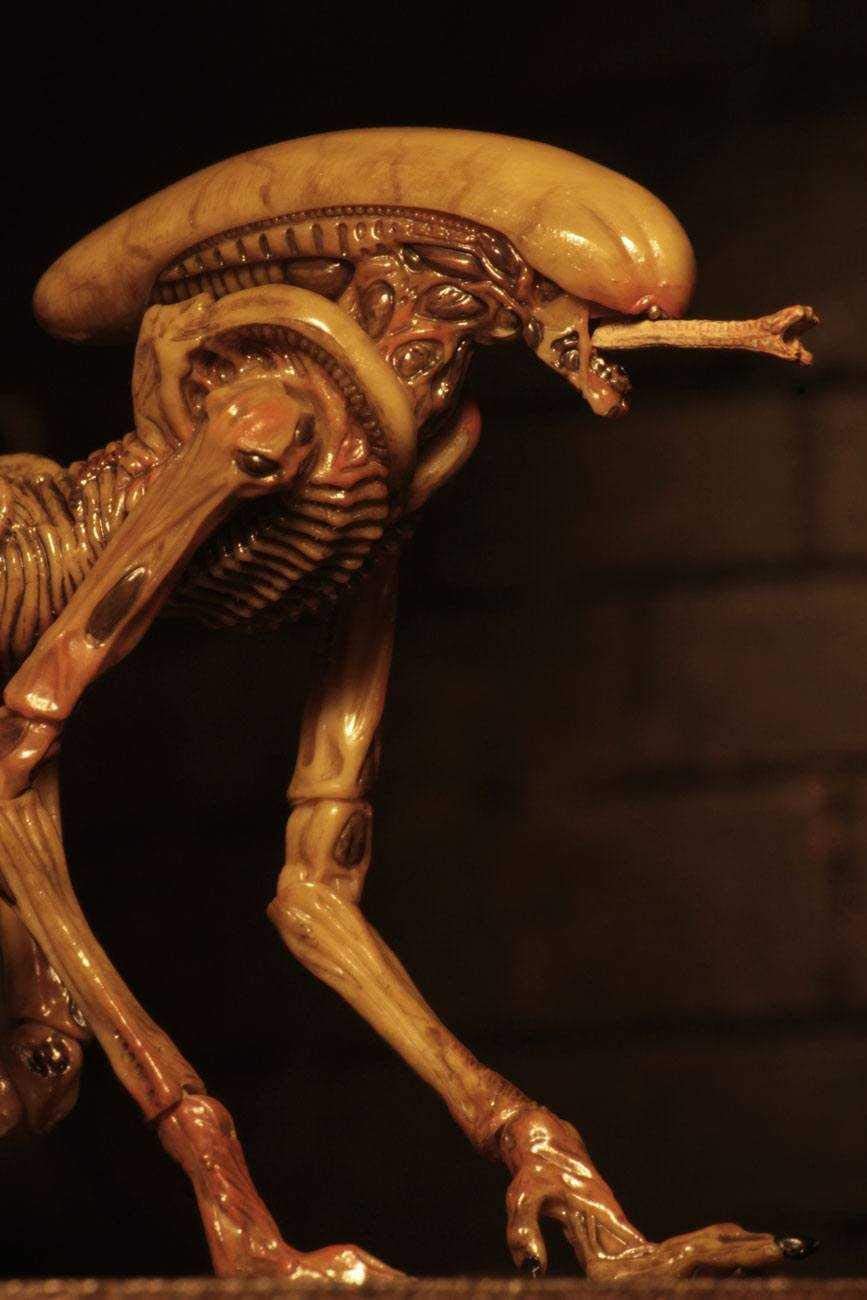 NECA - Alien 3 - Accessory Pack - Creature Pack - Collectors Row Inc.