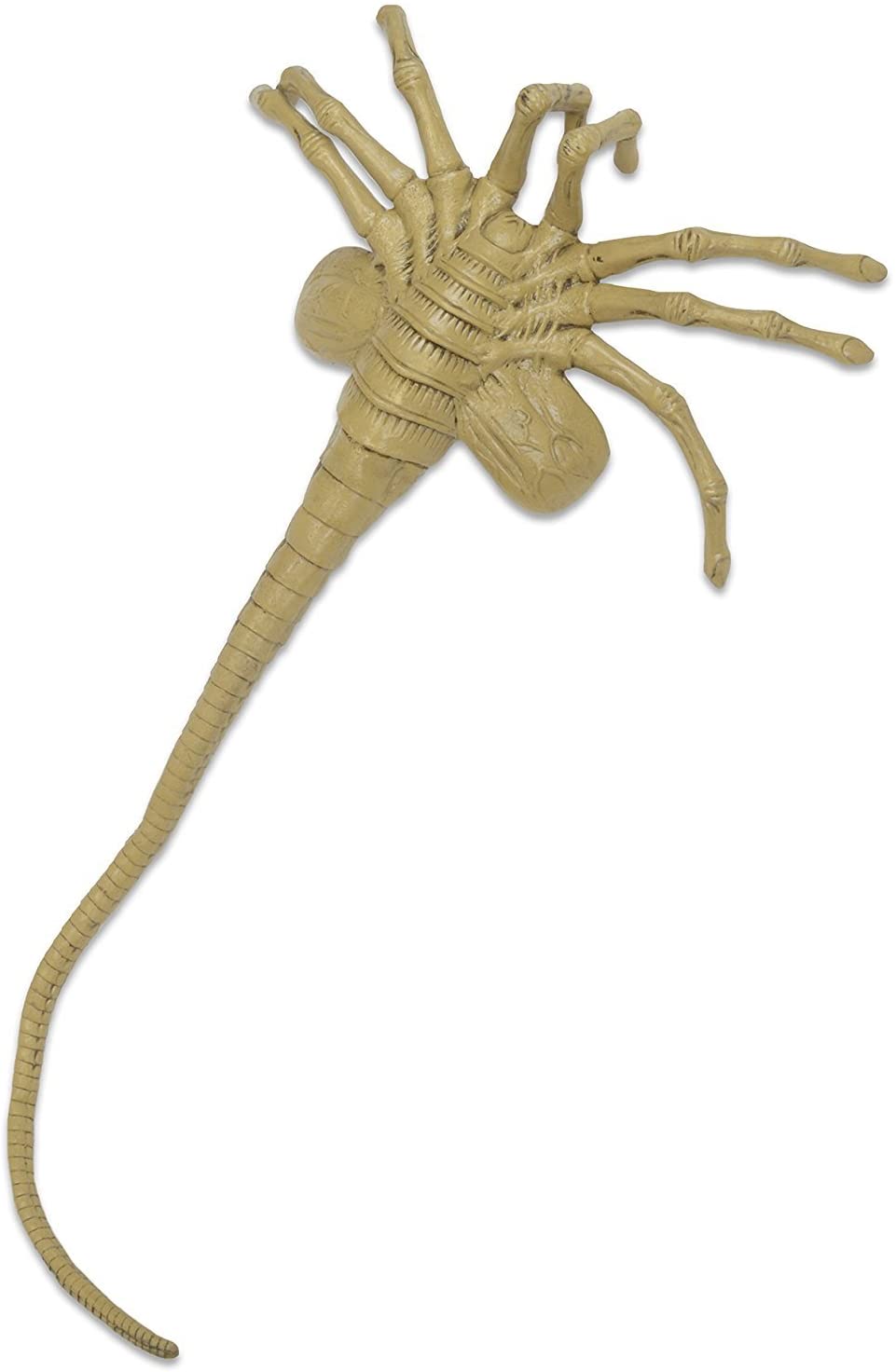 Alien - Foam Prop Replica - Life-Size Facehugger