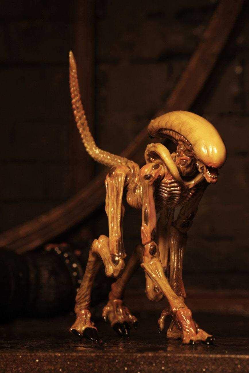 NECA - Alien 3 - Accessory Pack - Creature Pack - Collectors Row Inc.
