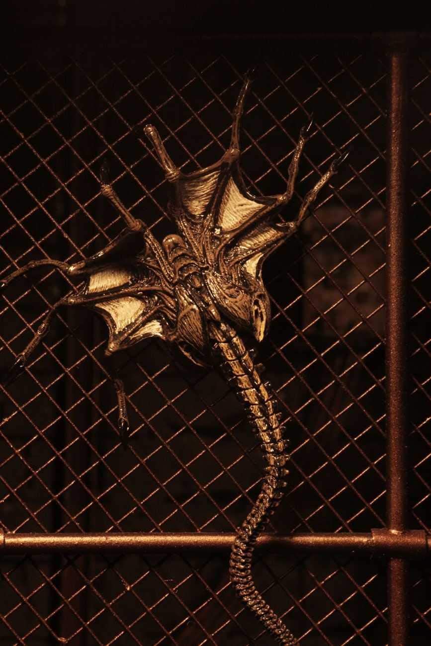 NECA - Alien 3 - Accessory Pack - Creature Pack - Collectors Row Inc.