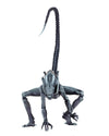 NECA - Aliens vs Predator (Arcade Appearance) - 7&quot; Scale Action Figures - Arachnoid - Collectors Row Inc.
