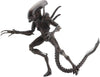 NECA - Aliens - Xenomorph Warrior Alien Resurrection- Series 14