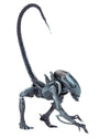 NECA - Aliens vs Predator (Arcade Appearance) - 7&quot; Scale Action Figures - Arachnoid - Collectors Row Inc.