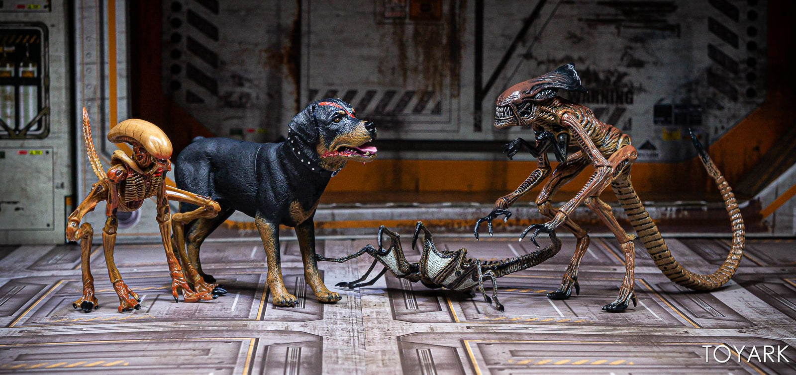 NECA - Alien 3 - Accessory Pack - Creature Pack - Collectors Row Inc.