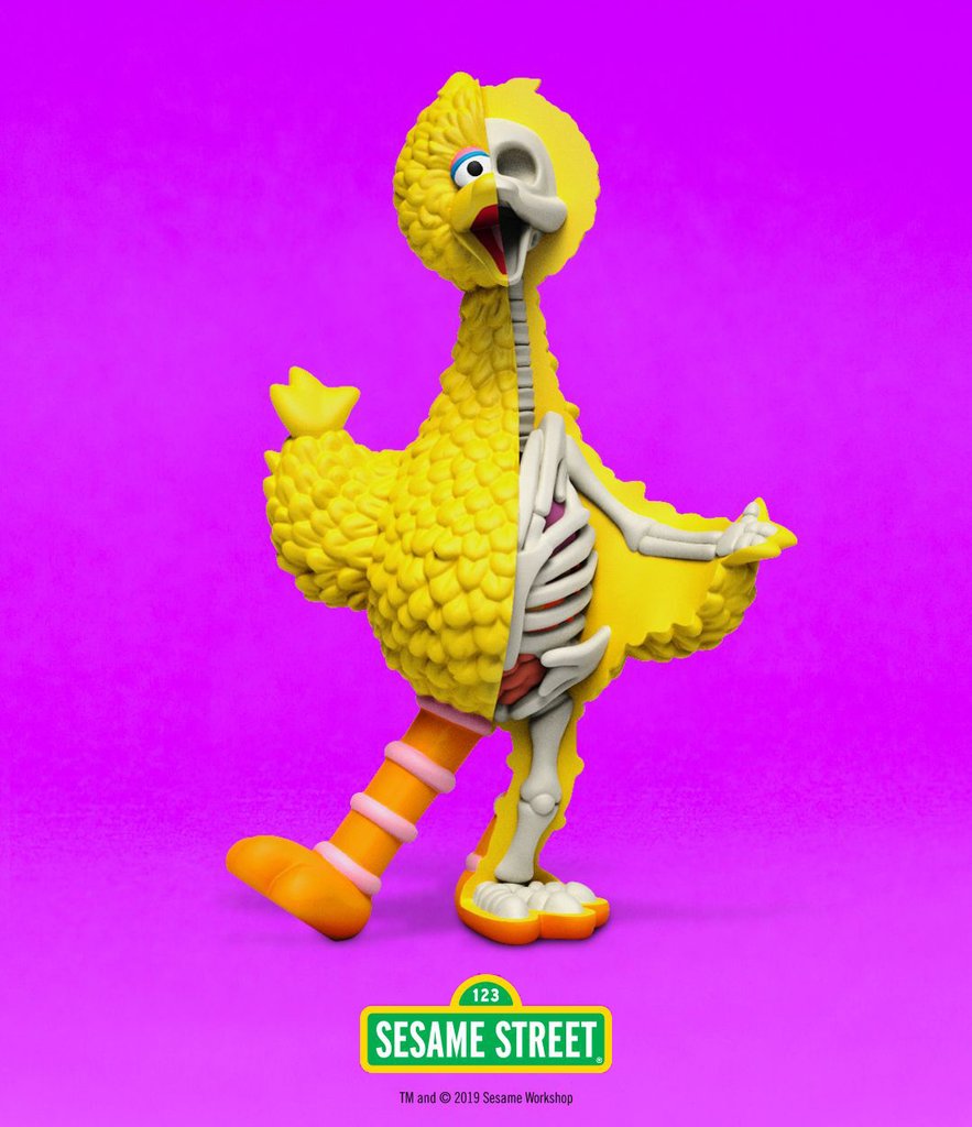 Big Bird XXRay Exclusive Plus Vinyl Art Figure - Collectors Row Inc.