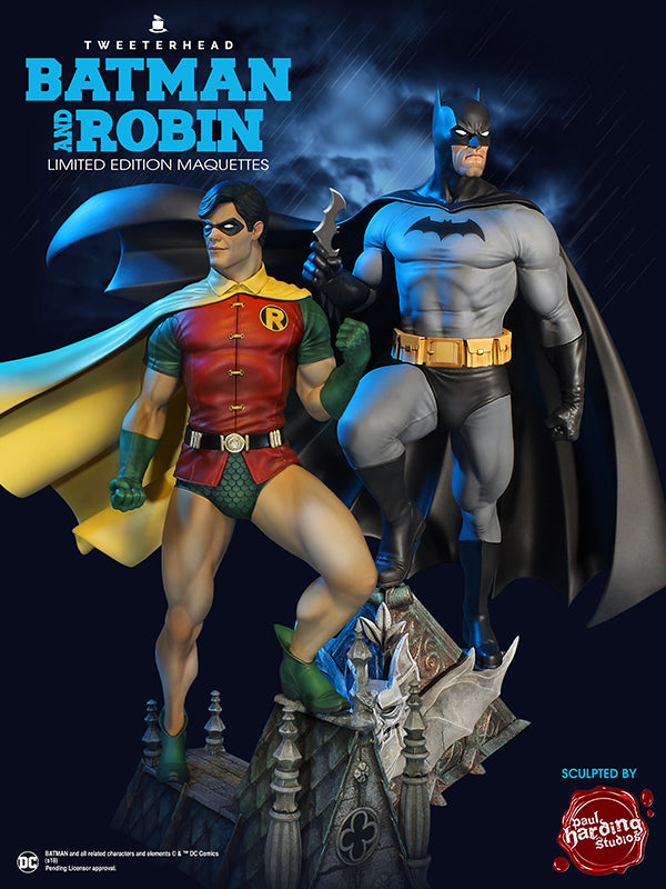 DC Comics Super Powers Robin Maquette - Collectors Row Inc.