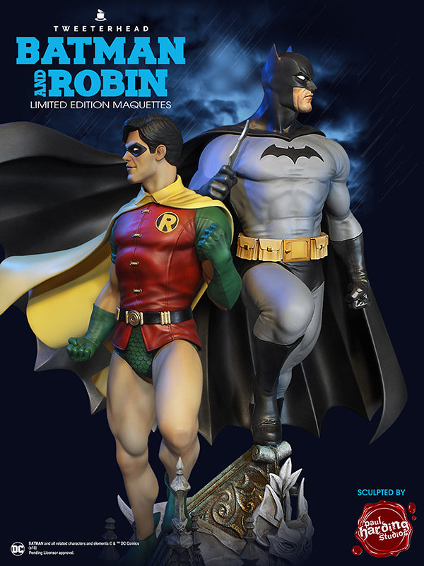 DC Comics Super Powers Robin Maquette - Collectors Row Inc.