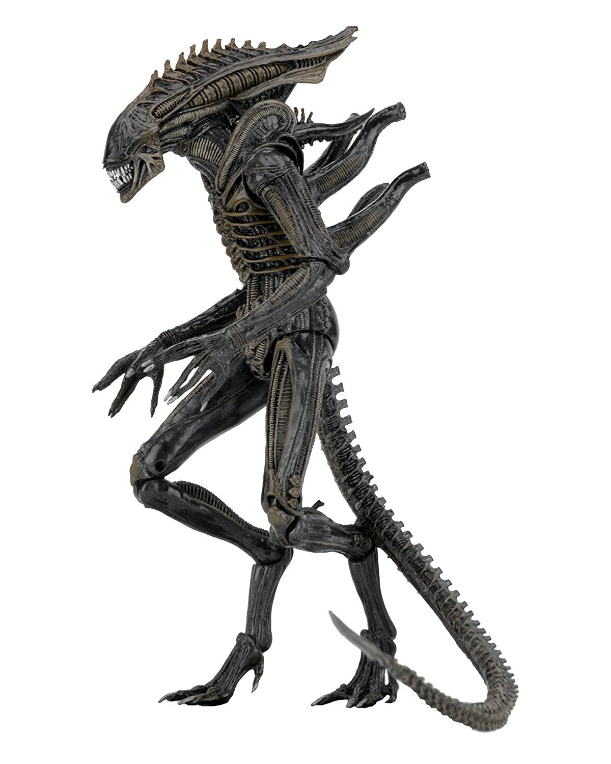 NECA Aliens - 7&quot; scale action figure series 11 - Defiance Alien - Collectors Row Inc.