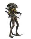 NECA - Aliens 7&quot; scale action figure - Series 12 Xenomorph Warrior Brown (Battle Damaged) - Collectors Row Inc.