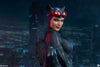 Catwoman DC Comics Premium Format Figure by Sideshow Collectibles - Collectors Row Inc.