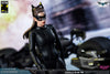Catwoman The Dark Knight Action Figure