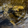Creature from the Black Lagoon Sixth Scale Figure