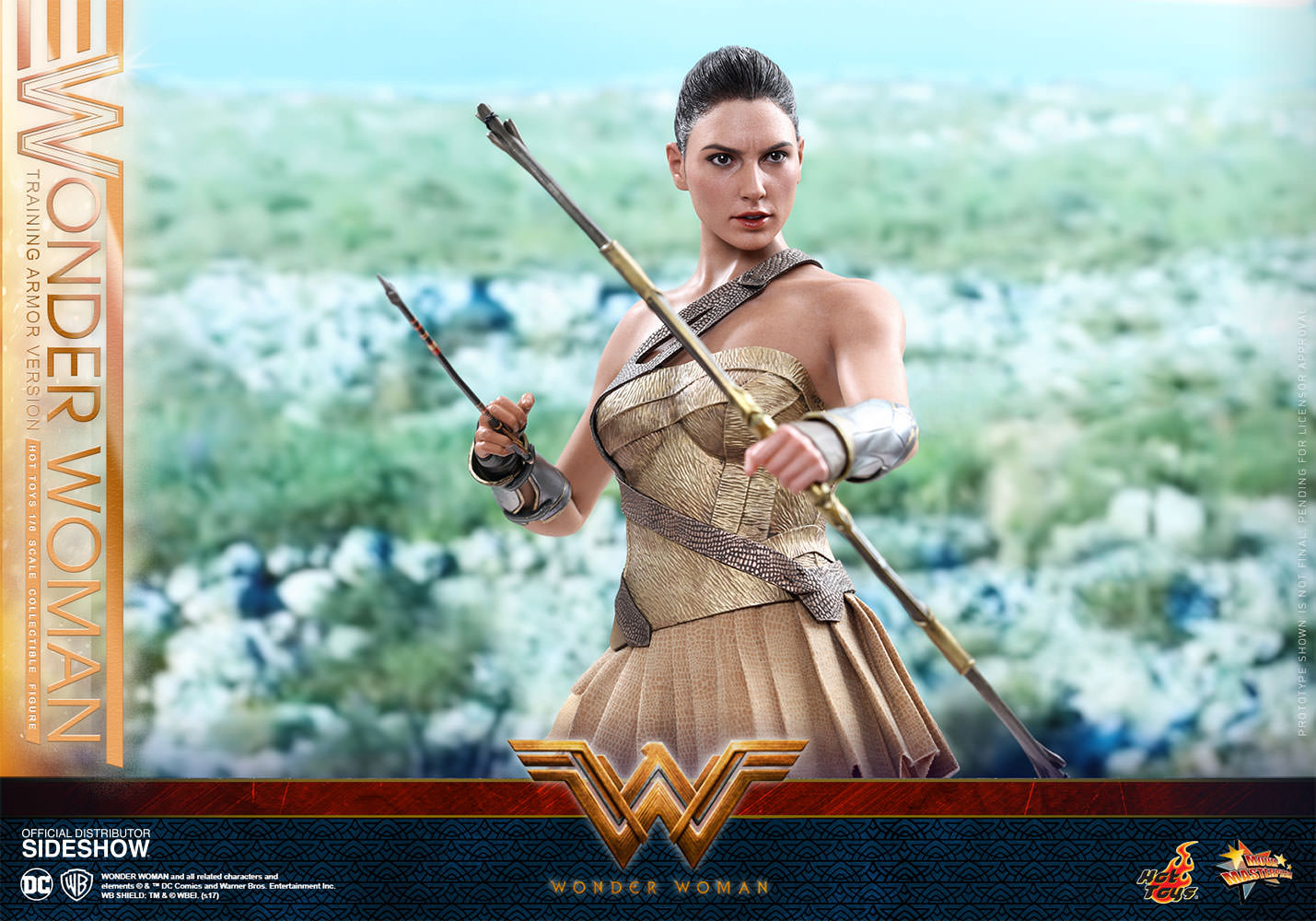 Hot Toys Wonder Woman Training Armor Version- Wonder Woman - Movie Masterpiece Series - Sixth Scale Figure - Collectors Row Inc.