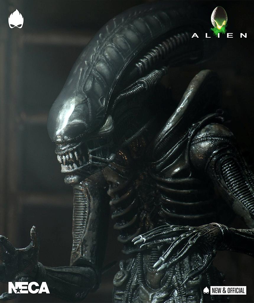 Alien 7 Collection Alien - 7