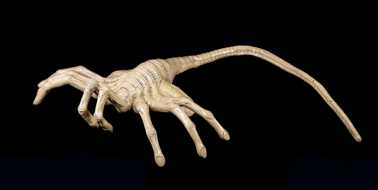 Alien - Foam Prop Replica - Life-Size Facehugger