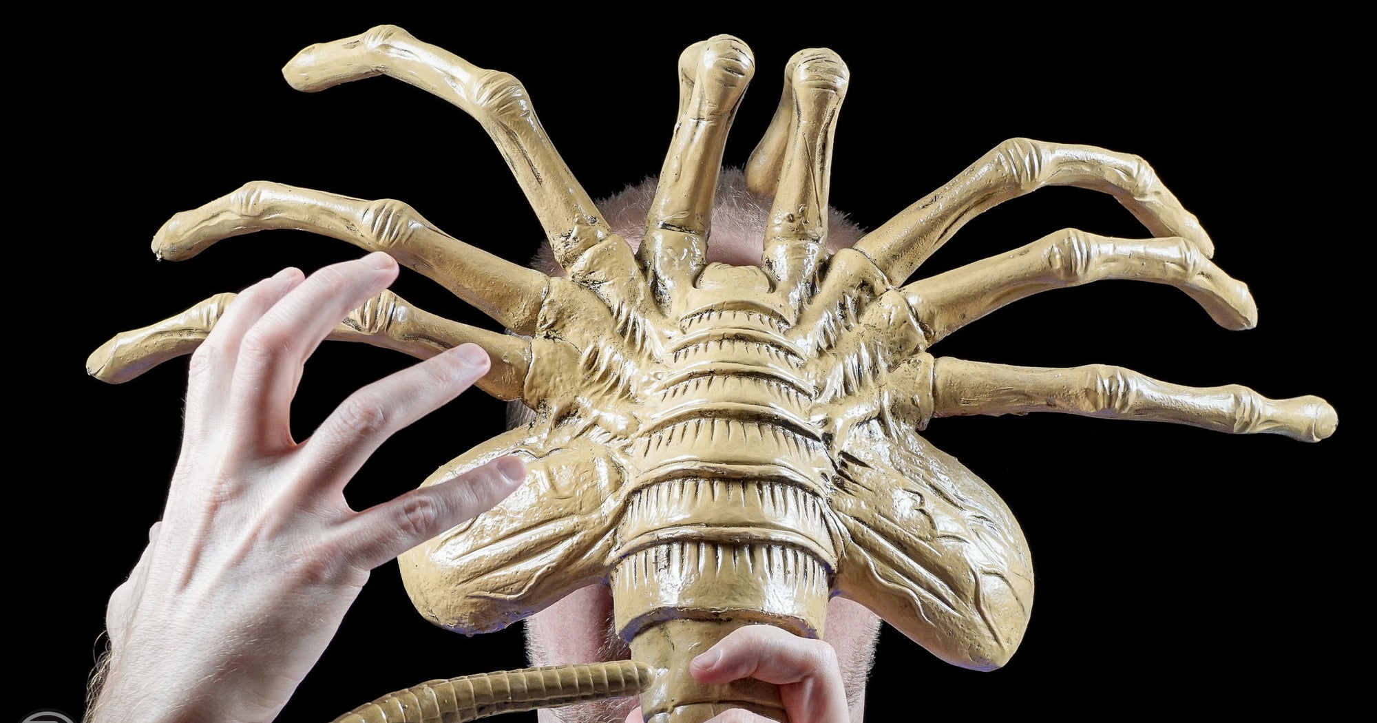 Alien - Foam Prop Replica - Life-Size Facehugger