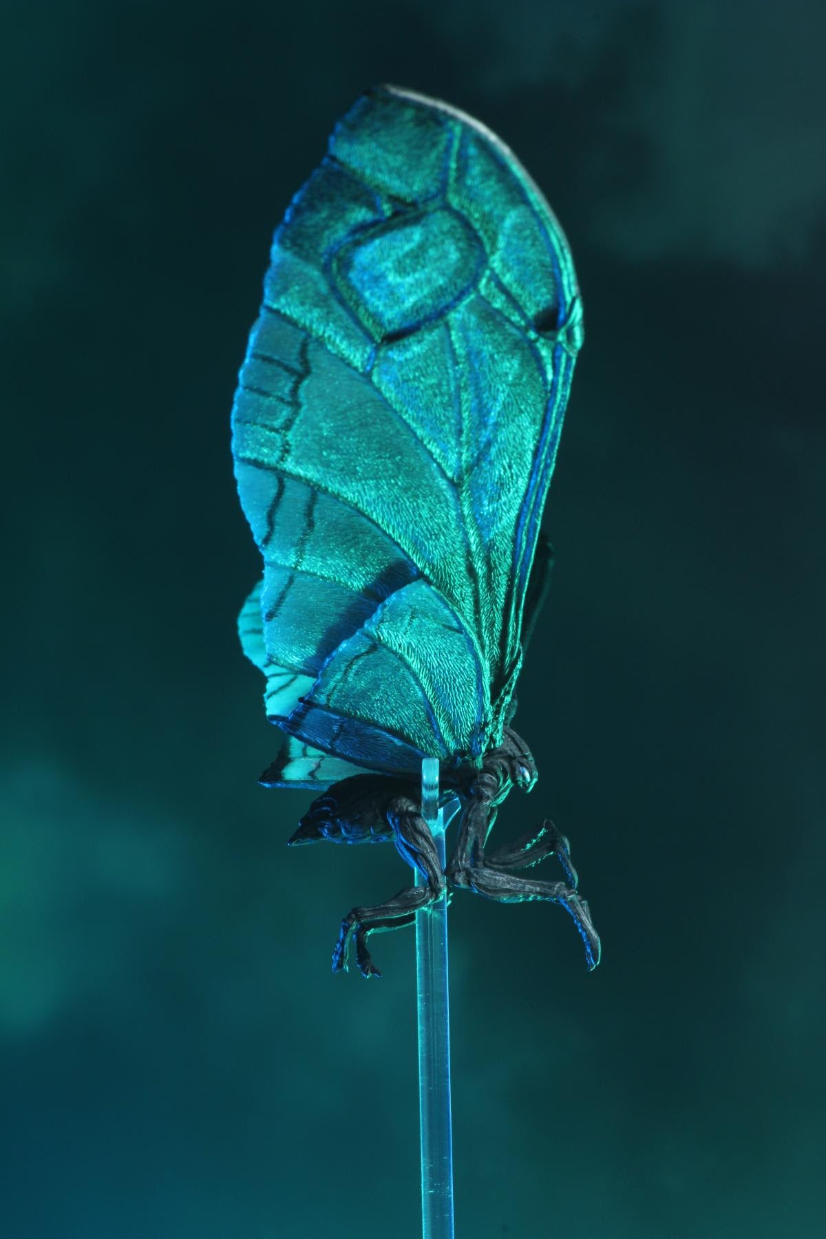 Godzilla - King of Monsters - 12" Wing-to-Wing Action Figure - Mothra "Poster Version"