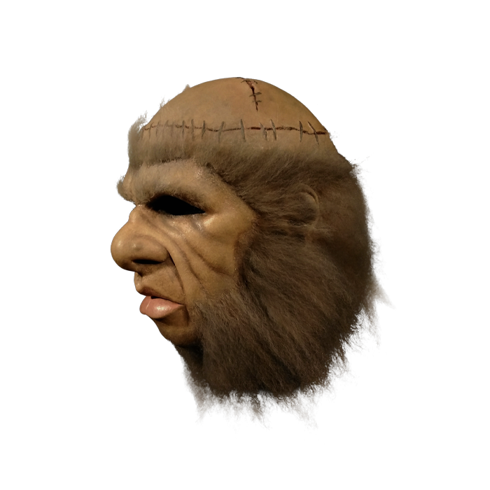 Hammer Horror - Frankenstein and the Monster from Hell Mask