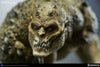 Sideshow Killer Croc Batman DC Comics Premium Format Figure - Collectors Row Inc.