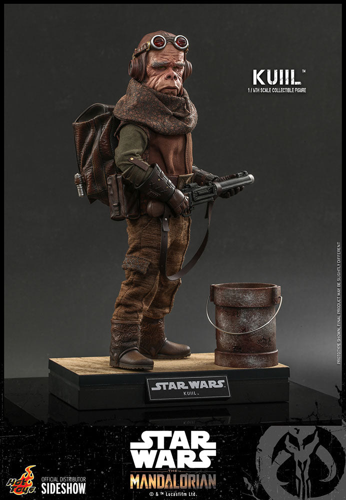 Kuiil The Mandalorian Sixth Scale Figure - Collectors Row Inc.