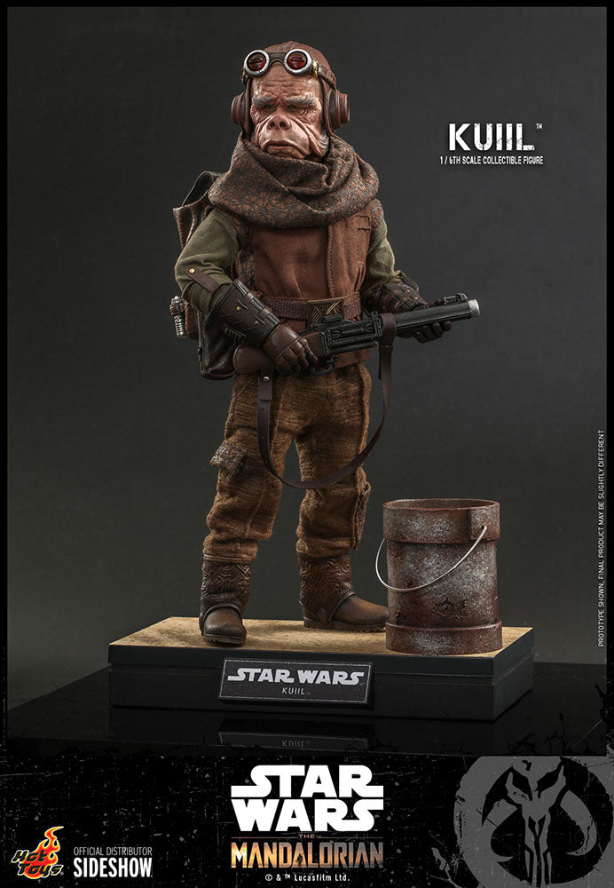 Kuiil The Mandalorian Sixth Scale Figure - Collectors Row Inc.