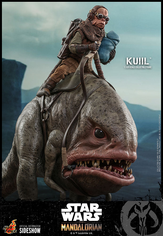 Kuiil The Mandalorian Sixth Scale Figure - Collectors Row Inc.