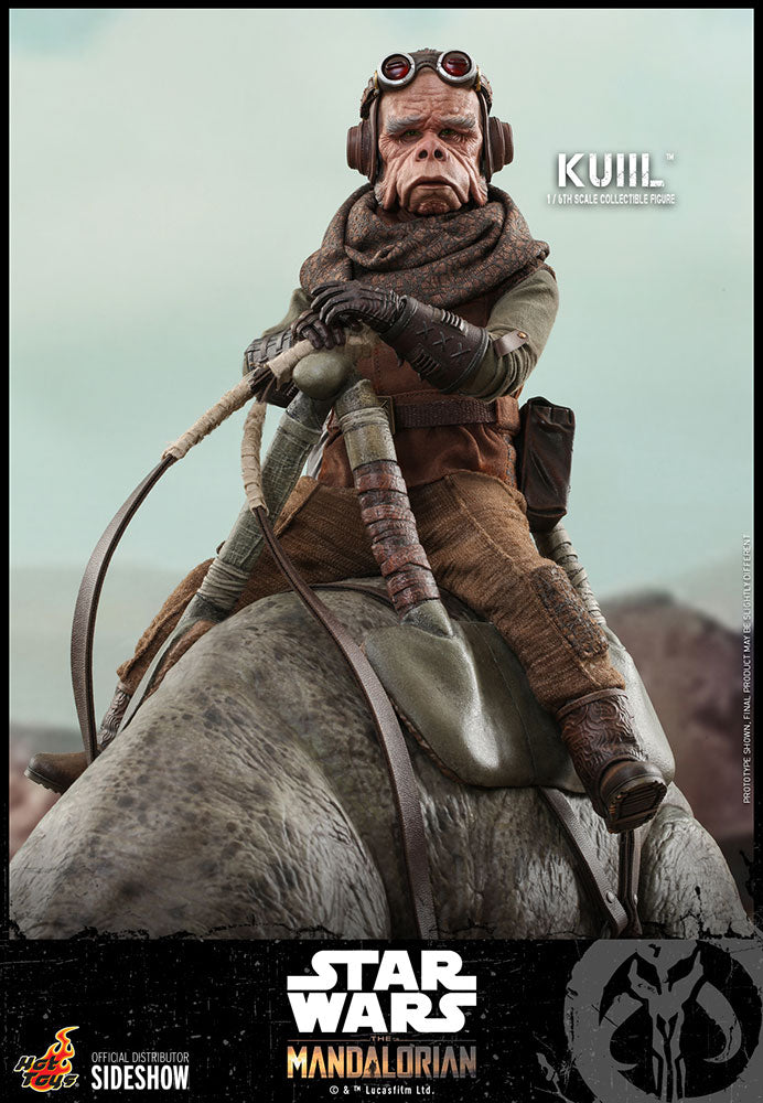 Kuiil The Mandalorian Sixth Scale Figure - Collectors Row Inc.
