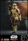 Shoretrooper™ The Mandalorian Sixth Scale Figure
