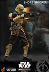 Shoretrooper™ The Mandalorian Sixth Scale Figure