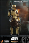 Shoretrooper™ The Mandalorian Sixth Scale Figure