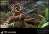 Wicket Return of the Jedi Sixth Scale Figure - Collectors Row Inc.