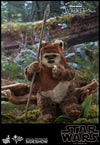 Wicket Return of the Jedi Sixth Scale Figure - Collectors Row Inc.