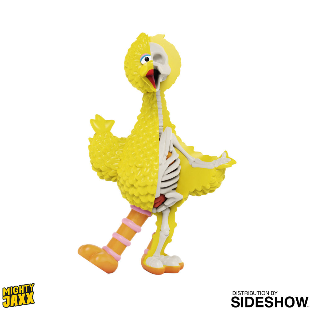 Big Bird XXRay Exclusive Plus Vinyl Art Figure - Collectors Row Inc.